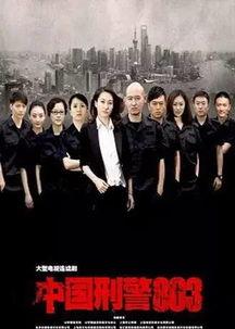 电视剧中国刑警803在线观看,揭秘罪案背后的真相  第1张