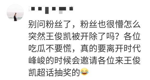 四个字网红吃瓜网名怎么取,揭秘网络热点背后的故事  第1张